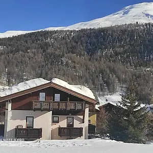 Stella Alpina Apartament